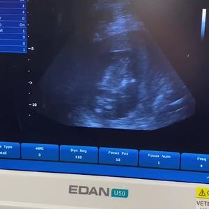 Meet your Posher, Jess